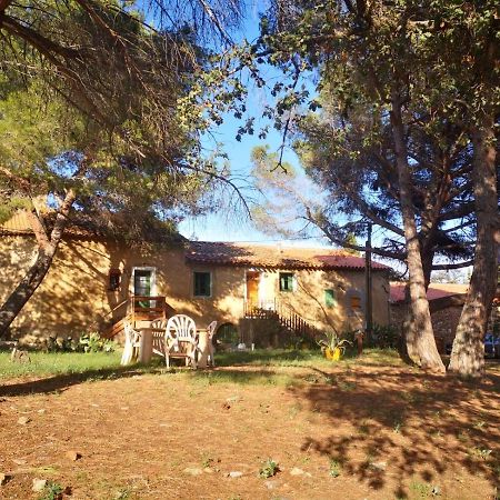 Maison Entiere Hameau Monastir Del Camp Passa Εξωτερικό φωτογραφία