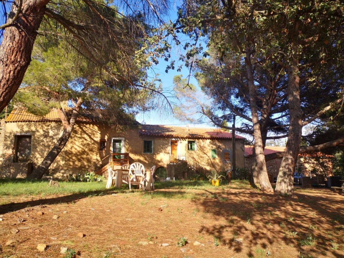 Maison Entiere Hameau Monastir Del Camp Passa Εξωτερικό φωτογραφία